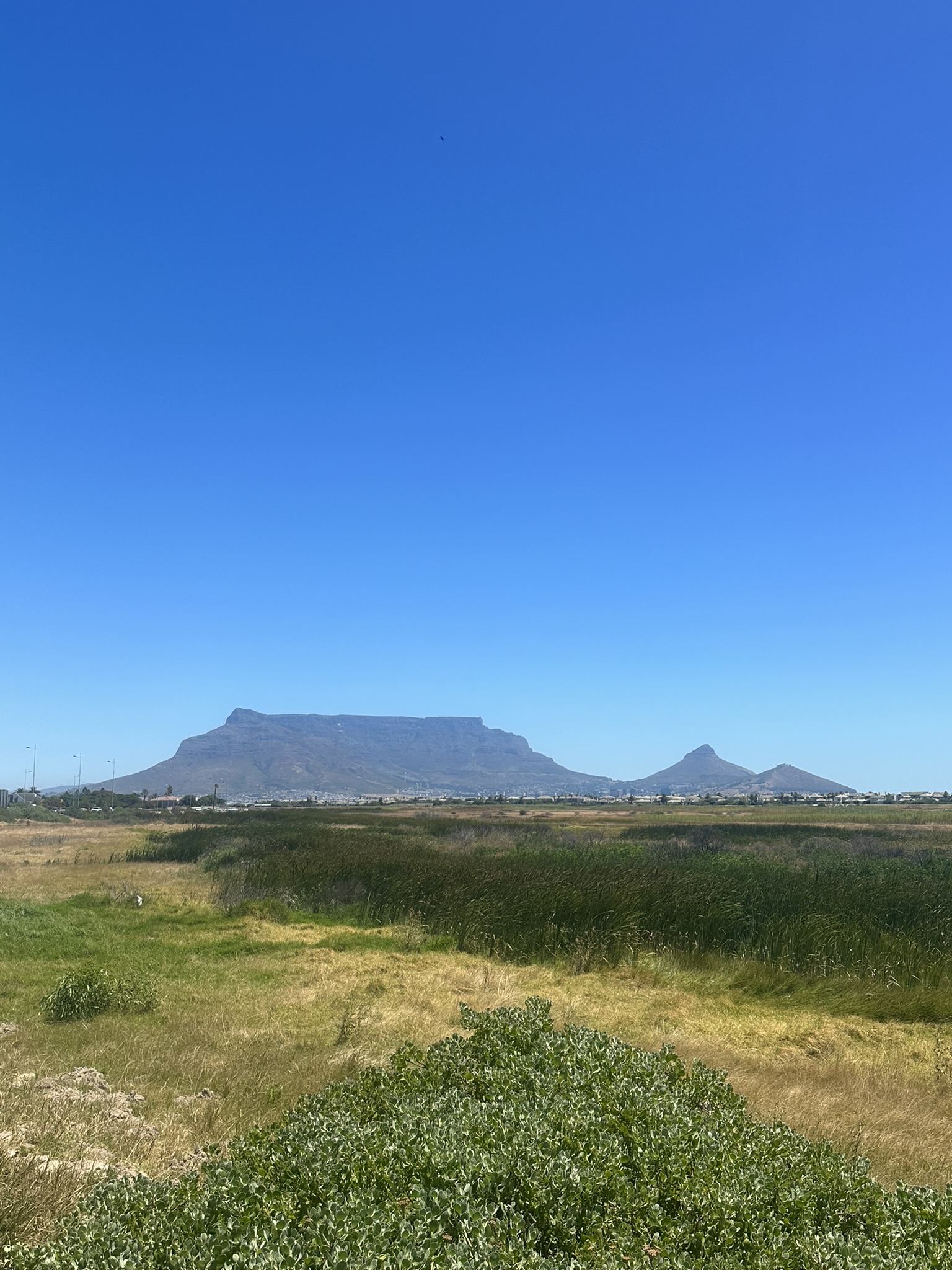 South Africa - Image 2